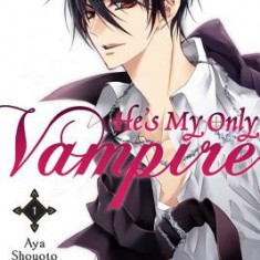 He's My Only Vampire, Vol. 1