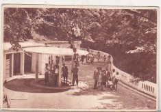 bnk cp Olanesti - La izvoare - necirculata foto