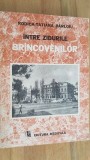 Intre zidurile Brancovenilor- Rodica-Tatiana Barloiu