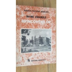 Intre zidurile Brancovenilor- Rodica-Tatiana Barloiu