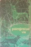 PAIENJENISUL VIU RELATIILE DINTRE ANIMALE- SUZANA BRATOSIN