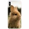 Husa silicon pentru Apple Iphone X, Cute Rabbit In Grass