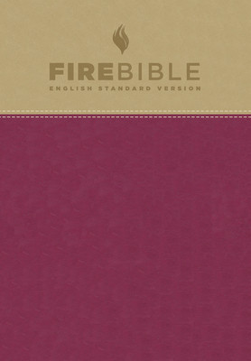 Fire Bible-ESV foto