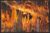 CPIB 22396 - CARTE POSTALA - PESTERA URSILOR (CHISCAU) - BIHOR, NECIRCULATA