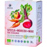 Suc de Sfecla, Morcov si Mar Ecologic/Bio 3L