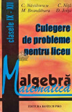 Culegere de probleme pentru liceu. Algebra - 1999 - C. Nastasescu (AE101)