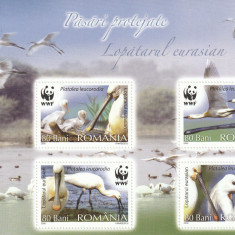 Romania 2006-Fauna,Pasari protejate,WWF,Lopatarul eurasian,bloc 4 valori,MNH