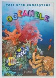 PASI SPRE CUNOASTERE , OCEANELE , 2010