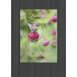 TUVALU 2017 FAUNA INSECTE FLUTURI