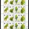 CUBA 1998, Fauna, WWF, serie neuzata, MNH