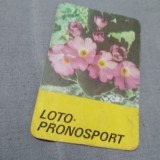 Cumpara ieftin CALENDAR 1984 LOTO PRONOSPORT