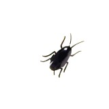 Jucarie haioasa pentru farse, Gandac, ATU-087090, Negru, Plastic, Oem