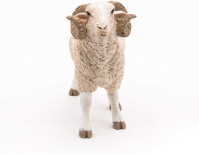 PAPO FIGURINA BERBEC foto