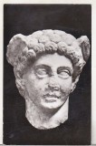 bnk cp Muzeul regional de arheologie Constanta - Cap de statuie - Hermes - necirculata