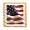 SUA (17) - U.S. Flag, 2017, obliterata
