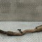 Colier de conectare toba de eșapament PORSCHE CAYENNE 9Y0/9Y3 2023 OEM: 4M0253350CE,4M0.253.350.CE | 28821409