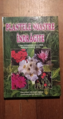 Plantele noastre indragite foto