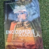 Enciclopedie amabila - Alexandru Tacu