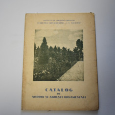 Catalog de arbori si arbusti ornamentali (Miciurin Bucuresti)