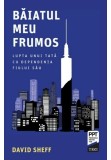 Cumpara ieftin Baiatul meu frumos. Lupta unui tata cu dependenta fiului sau, Trei