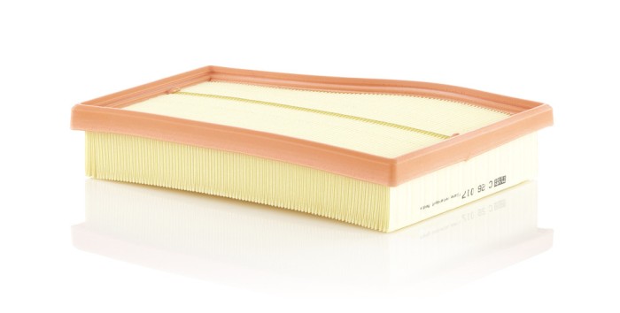 MANN-FILTER C 26 017 Filtru aer