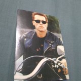 Cumpara ieftin FOTO TIP CP ARNOLD SCHWARZENEGGER