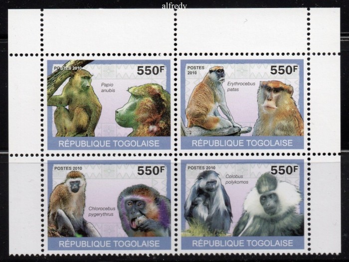 TOGO 2010, Fauna, Maimute, neuzat, MNH