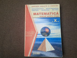 GABRIELA STREINU CERCEL MATEMATICA MANUAL PENTRU CLASA A X A M1