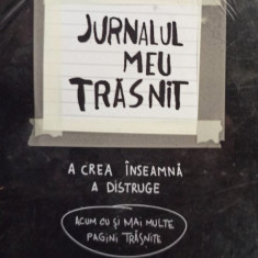 Jurnalul meu trasnit