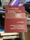 Cancer: Principles &amp; Practice of Oncology - Vincent T. DeVita, Jr., Samuel Hellman, Steven A. Rosenberg