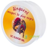 Unguent Muguri de Plop Negru 50ml