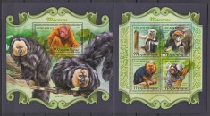 Mozambic 2018 - MAIMUTE - MACACI - BL + KB - MNH - Michel 42 Eur. foto