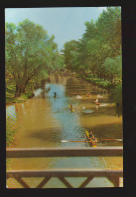 CPIB 19816 CARTE POSTALA - TIMISOARA, PE BEGA, RPR, NECIRCULATA foto