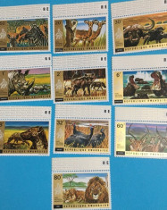 RWANDA, FAUNA AFRICANA - SERIE COMPLETA MNH foto