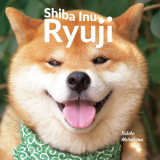 Shiba Inu Ryuji | Yukiko Motoshima