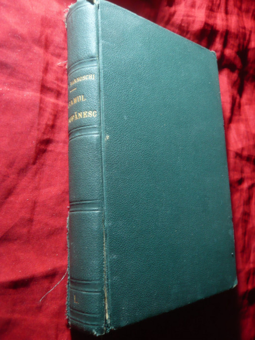 D.V.BARNOSCHI - NEAMUL COTOFENESC - Prima ed. 1930 ,366pag