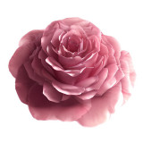 Cumpara ieftin Sticker decorativ, Trandafir, Roz, 60 cm, 10679ST, Oem