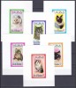 DB1 Fauna Domestica Pisici Ras al Khaima 6 x SS de Lux MNH, Nestampilat