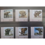 GUINEA 2002 FAUNA ELEFANTI