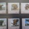 GUINEA 2002 FAUNA ELEFANTI