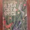 A doua carte a Ralucai - Victor Tulbure / R8P2S