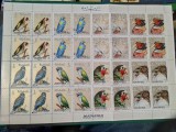 Coală Completă Manama Ajman - Păsări, Sticlete, Papagali, Șoim, Fazan, 32v, Ștampilată -A333
