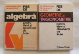 Cumpara ieftin Fise de algebra + Fise de geometrie, Ghircoiasiu, Iasinschi, 1976