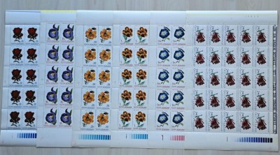 TIMBRE ROMANIA LP767/1971- Flori din gradini botanice- Set 6 coli -MNH foto