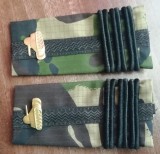C3 - Grade militare - mozaic padure - colonel tancuri - piesa de colectie!