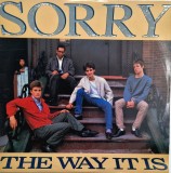Sorry &lrm;&ndash; The Way It Is _ NM / NM vinil, LP, disc muzica rock alternativ , hardcore _ Homestead Rec, SUA, 1986