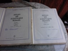 ATLAS DE ANATOMIE UMANA - MIRCEA IFRIM VOL.I+II foto