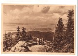 CPIB 17483 CARTE POSTALA - POSTAVARUL. VEDERE SPRE POIANA, RPR, LIBRARIA NOASTRA