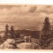 CPIB 17483 CARTE POSTALA - POSTAVARUL. VEDERE SPRE POIANA, RPR, LIBRARIA NOASTRA