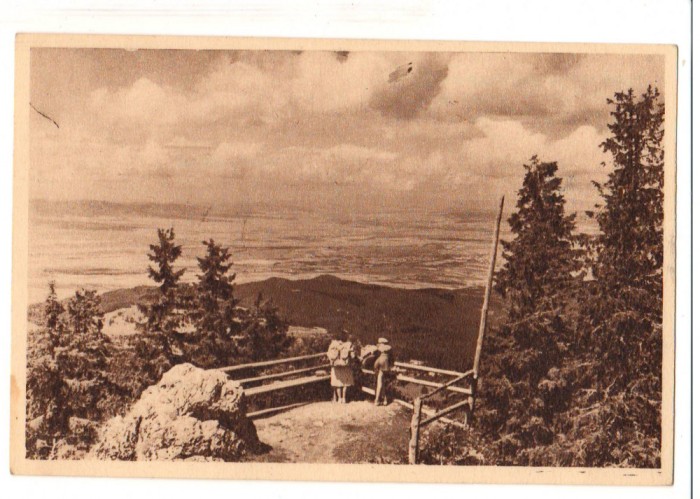 CPIB 17483 CARTE POSTALA - POSTAVARUL. VEDERE SPRE POIANA, RPR, LIBRARIA NOASTRA